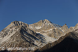 F072765: Barrhorn, Gässispitz und Untere Stelligletscher