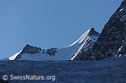 F072774: Stecknadelhorn, Hohberghorn und Riedgletscher