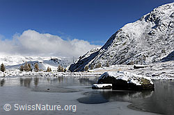 F073211: Schwarzeisschicht auf Bergsee