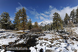 F073236: Bergbach und erster Schnee