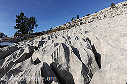 F073476: Karstlandschaft mit Föhren