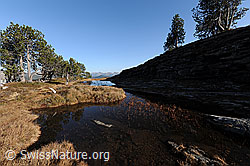F073566: Herbstbild Hochmoor mit Moorsee