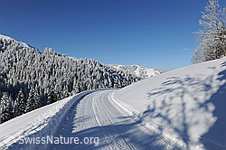 F073809: Schneebedeckte Strasse