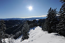 F073978: Sonne über Winterlandschaft