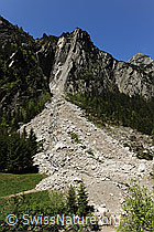 Foto: Bergsturz Schwarzbrunnenfluh