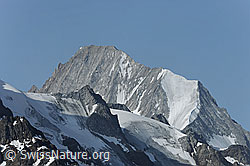 F076610: Bietschhorn und Üssre Baltschiedergletscher