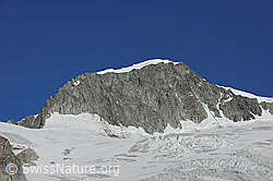Photo: Galenstock von SE