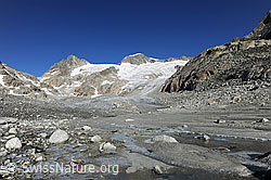Photo: Tiefengletscher und Gletschervorfeld