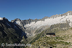 F077144: Bergseehütte vor Dammagletscher