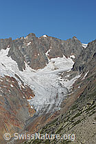 F077166: Chelengletscher, Chelenfirn und Hinter Tierberg