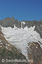 F077168: Maasplanggstock und Maasplanggfirn