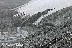 Foto: Gletschertor am Schwarzberggletscher
