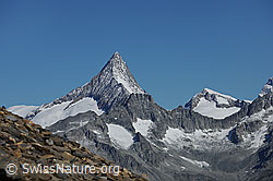 F078356: Finsteraarhorn und Studerhorn