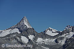 F078357: Finsteraarhorn und Studerhorn