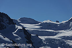 F079662: Parrotspitze