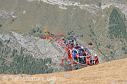 F079738: Helikopter und Flughelfer