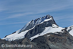 F079878: Rimpfischorn