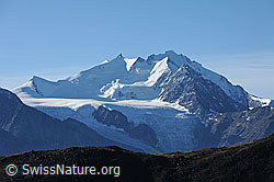 F079943: Mischabelgruppe und Riedgletscher