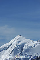 F079968: Gipfelportrait Weisshorn