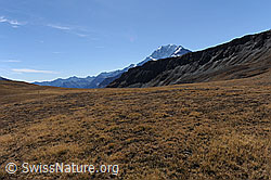 F080279: Hochebene im Herbst
