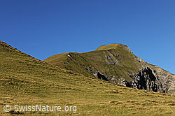 F080626: Sulegg