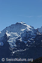 F080666: Jungfrau mit Guggigletscher