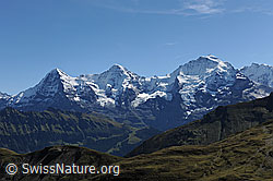 Foto: Eiger, Mönch und Jungfrau