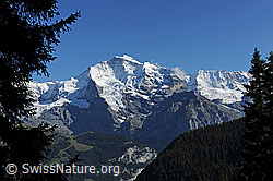 F080738: Jungfrau und Silberhorn