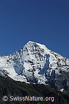 Foto: Mönch Nordwand