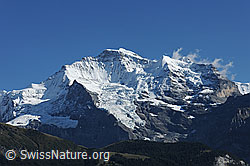 F080761: Jungfrau