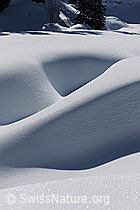 F083251: Formen und Schatten