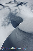 F083265: Schattenwurf auf Schneeoberfläche