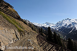 F083830: Lawinenverbauungen beidseits einer Bergstrasse