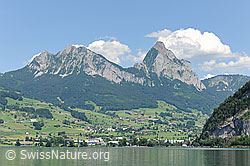 F086901: Lauerzersee mit Mythen