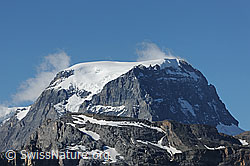 F086920: Tödi