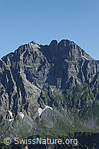 F086925: Ortstock