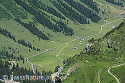 F086964: Urnerboden
