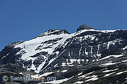 F086986: Clariden von NW