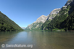 F087071: Klöntalersee mit Ruchen (Glärnisch)