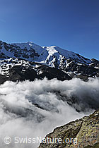 F087150: Weissmies