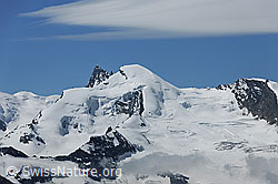 Photo: Cloud field over Rimpfischhorn and Allalinhorn, Switzerland