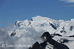 F087202: Signalkuppe, Zumsteinspitze, Strahlhorn und Liskamm