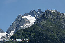 F087642: Uratstock, Fünffingerstöck und Uratgletscher