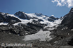 Foto: Fletschhorn und Grüebugletscher