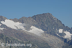 Photo: Steinlauihorn, Ärlen glacier (Ärlengletscher) and Ritzlihorn