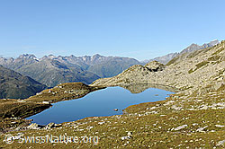 F089333: Lutersee