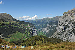 F090975: Tiefblick ins Lauterbrunnental und auf Mürren und Wengen