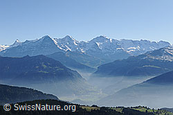 F092436: Herbststimmung in Berglandschaft mit feinen Nebelschichten