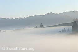 F093118: An der Nebelgrenze im Emmental