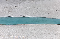 F097462: Hellblaues Wasser auf der Eisdecke eines Bergsees